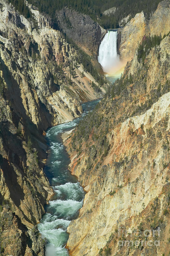 Grand Canyon of the Yellowstone I Photograph by Clarence Holmes
