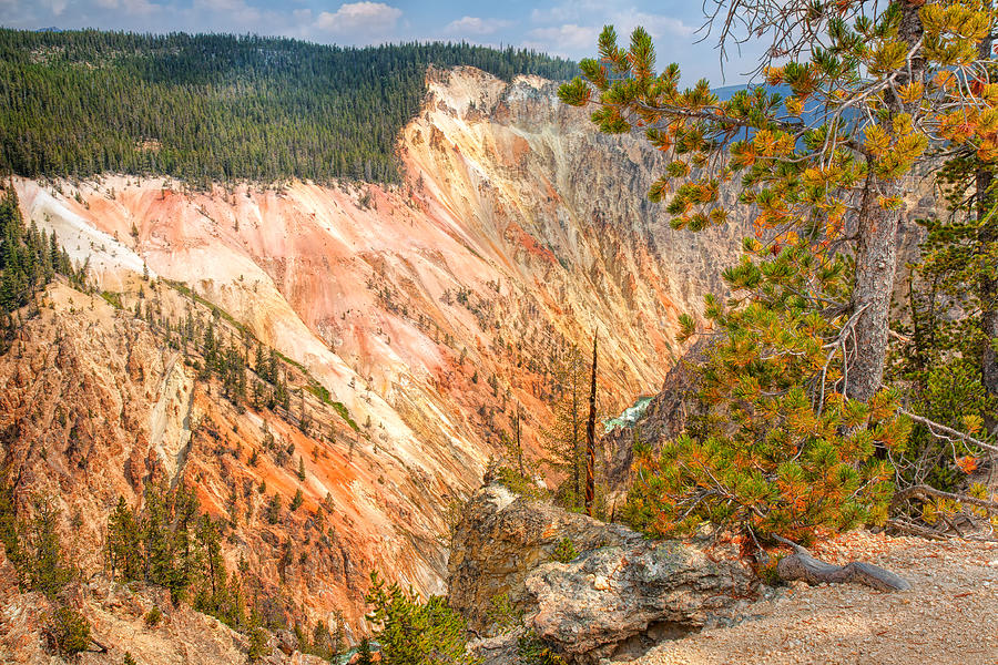 Grand Canyon Of The Yellowstone Photograph