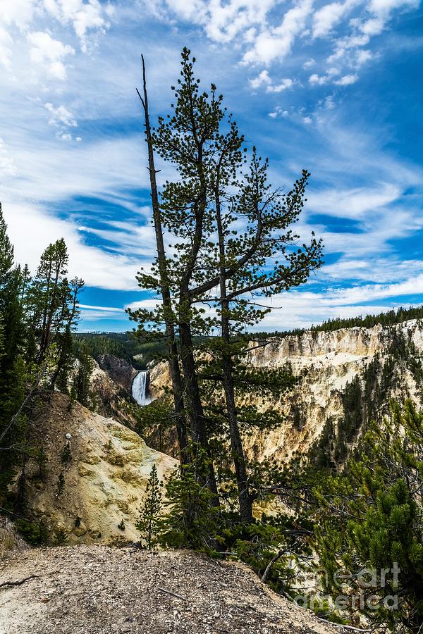 Grand Canyon Of The Yellowstone Photograph by Mel Steinhauer