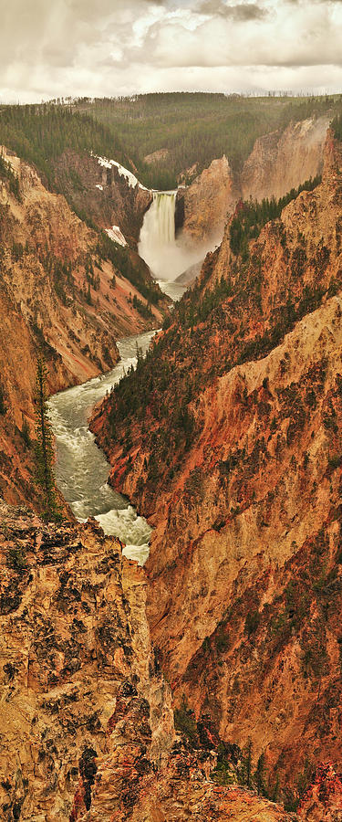 Grand Canyon Of The Yellowstone Vertical Panorama Photograph by Greg Norrell