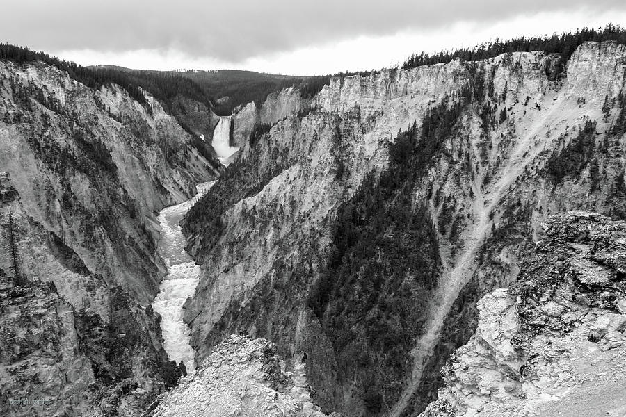 Grand Canyon Of Yellowstone Photograph by Aashish Vaidya