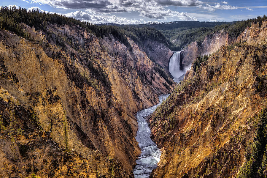 Grand Canyon of Yellowstone Photograph by Bill Dodsworth