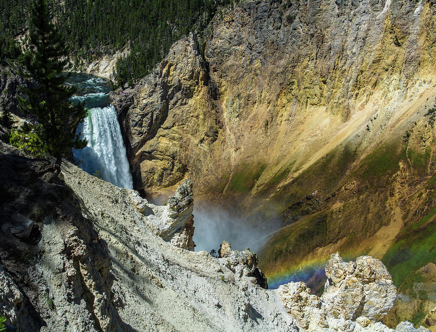 Grand Canyon of Yellowstone Rainbow  Photograph by Janis Connell