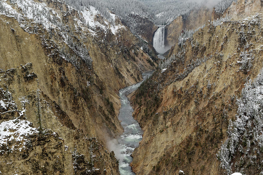 Grand Canyon of Yellowstone Photograph by Ronnie And Frances Howard