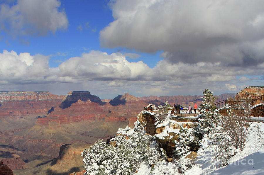 Grand Canyon Overlook 3938 Photograph by Jack Schultz