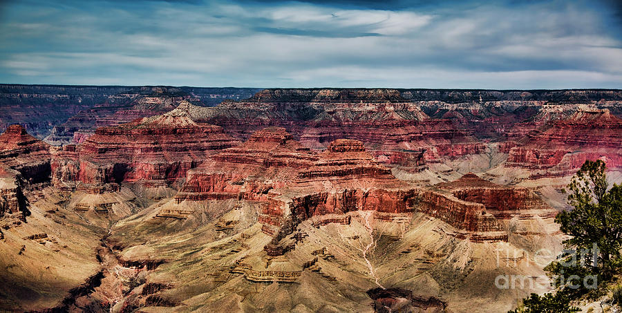 Grand Canyon Panorama  Photograph by Chuck Kuhn