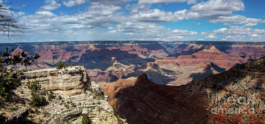 Grand Canyon Panorama Photograph by Stephen Whalen