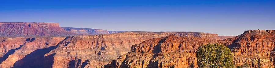 Grand Canyon Panoramic Photograph by Lutz Baar