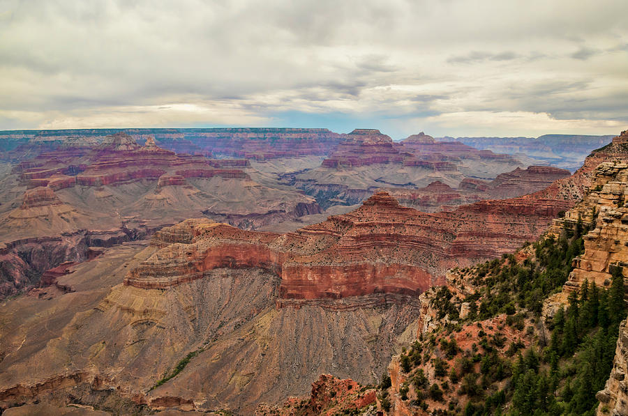 Grand Canyon National Park Photograph - Grand Canyon by Phyllis Taylor