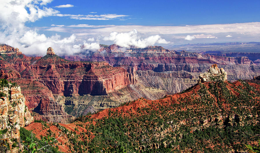 Grand Canyon Point Imperial View Photograph by Carolyn Derstine