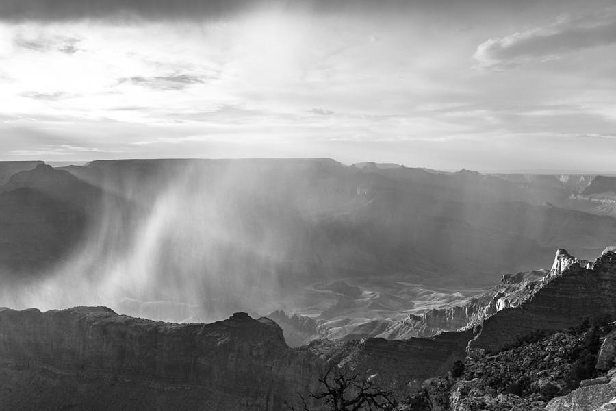 Grand Canyon Rain Storm Black and White Photograph by John McGraw