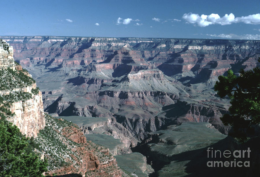 Grand Canyon Photograph by Rex E Ater