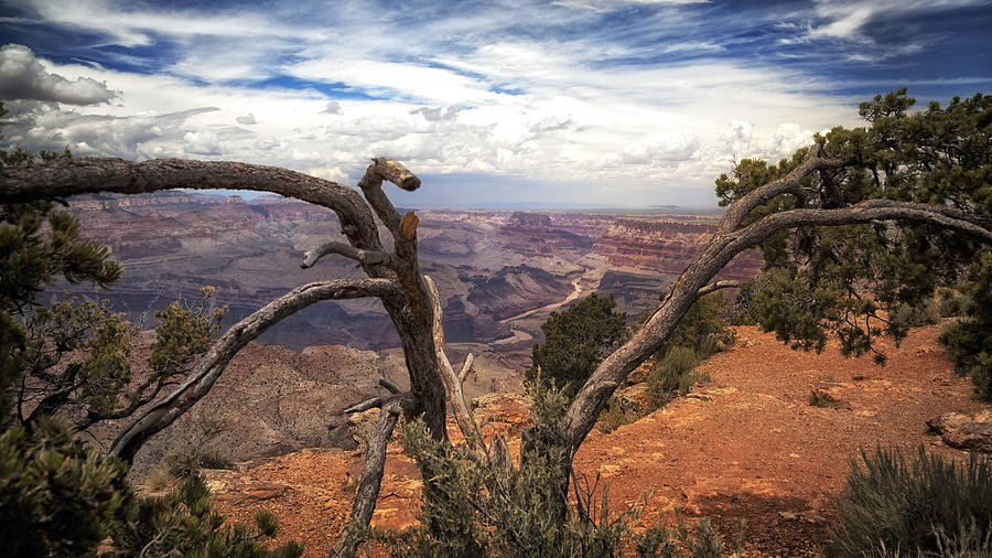 Grand Canyon River View Photograph by James Bethanis