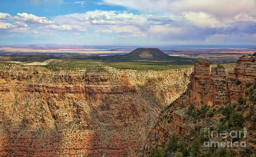 Grand Canyon National Park Photograph - Grand Canyon Shade Colors  by Chuck Kuhn