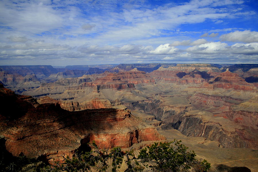 Grand Canyon National Park Photograph - Grand Canyon Shadow by Christopher J Kirby