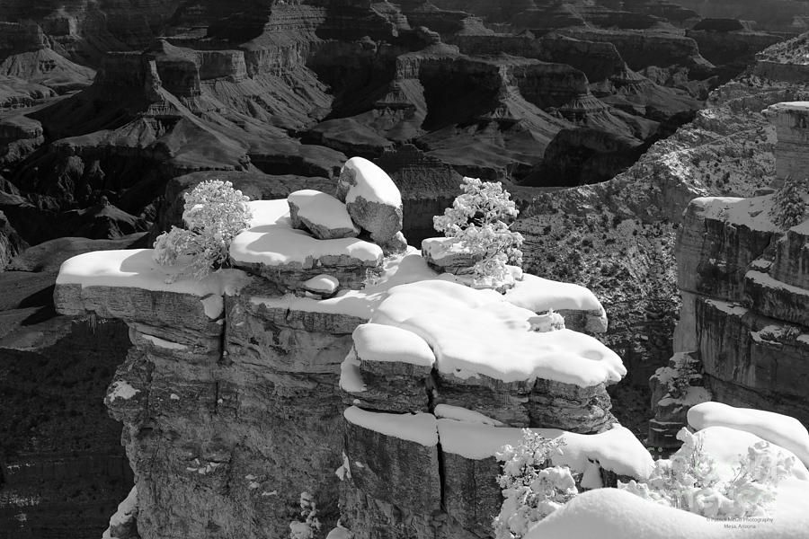 Grand Canyon Snow Black and White Photo Photograph by Patrick McGill