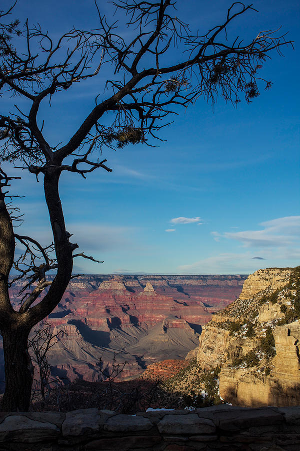 Grand Canyon South at Dusk Photograph by Kathleen Scanlan