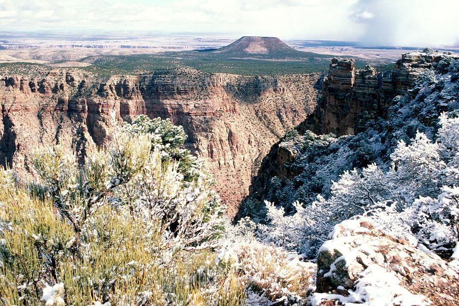 Grand Canyon South Face Photograph by Douglas Pike