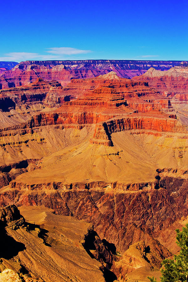 Grand Canyon South Rim Photograph by Bill Barber