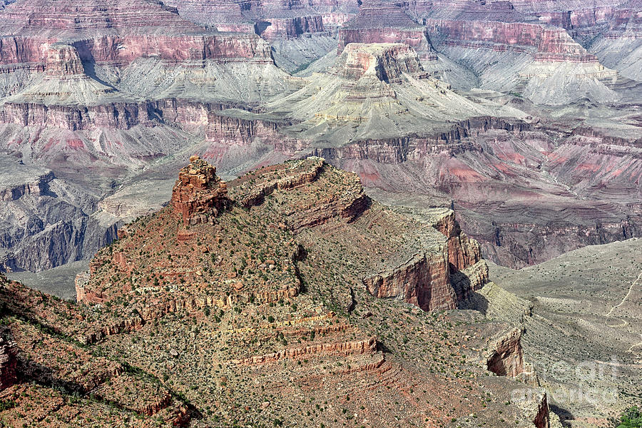Grand Canyon South Rim Photograph by Norman Gabitzsch