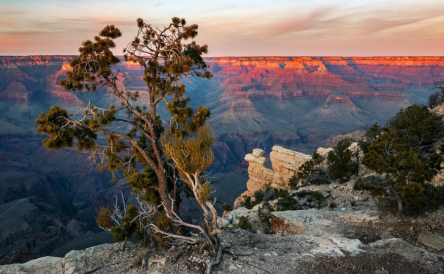 Grand Canyon South Rim Sunset Photograph by Adam Rainoff