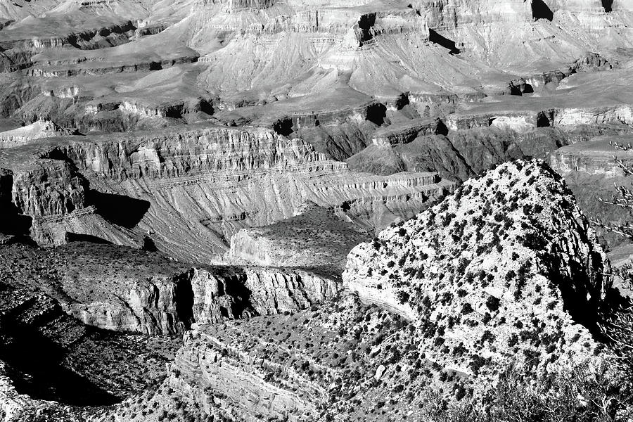 Grand Canyon South Rim Textures 22 BW Photograph by Mary Bedy