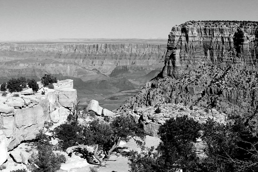 Grand Canyon South Rim textures 3 BW Photograph by Mary Bedy
