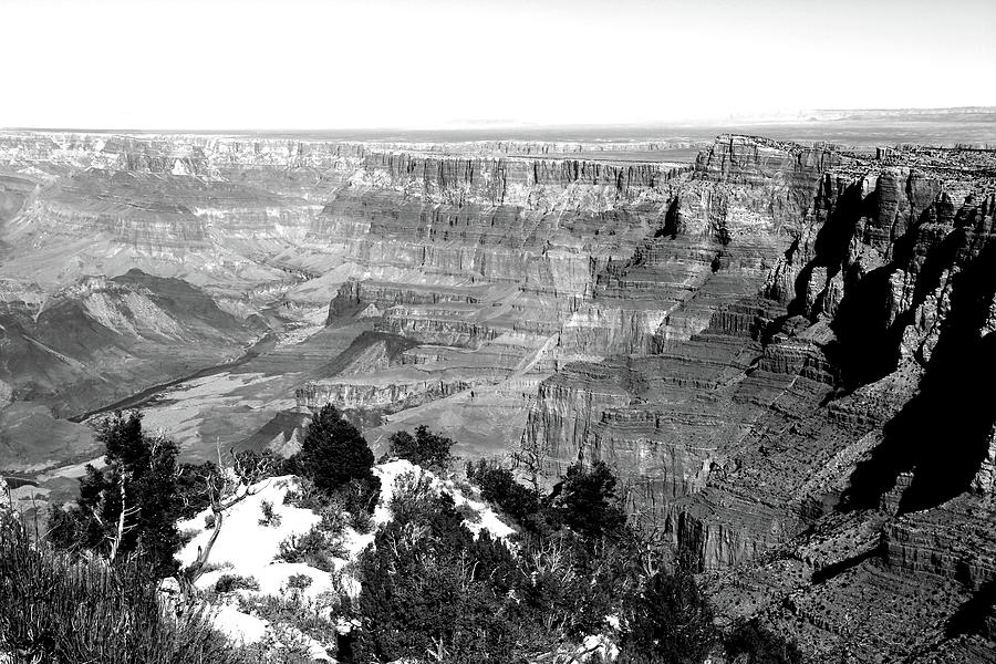 Grand Canyon South Rim Textures 9 BW Photograph by Mary Bedy