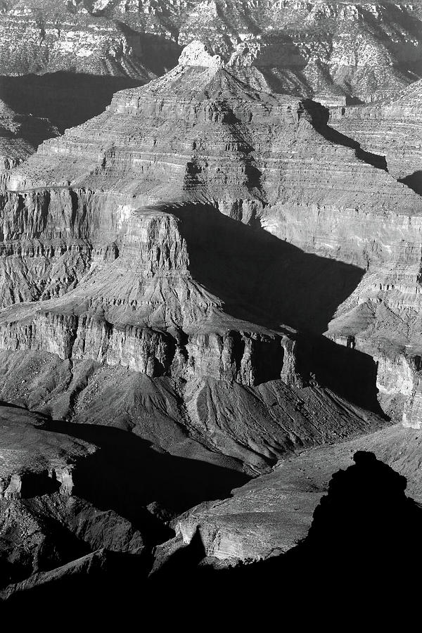 Grand Canyon South Rim Texures 5 Vertical BW Photograph by Mary Bedy