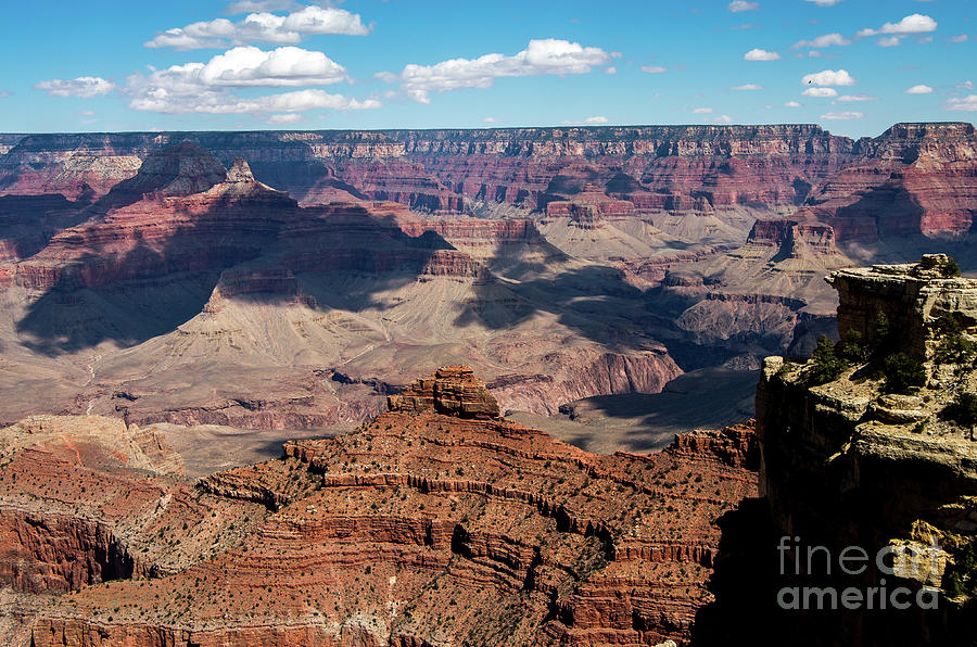 Grand Canyon Photograph by Stephen Whalen