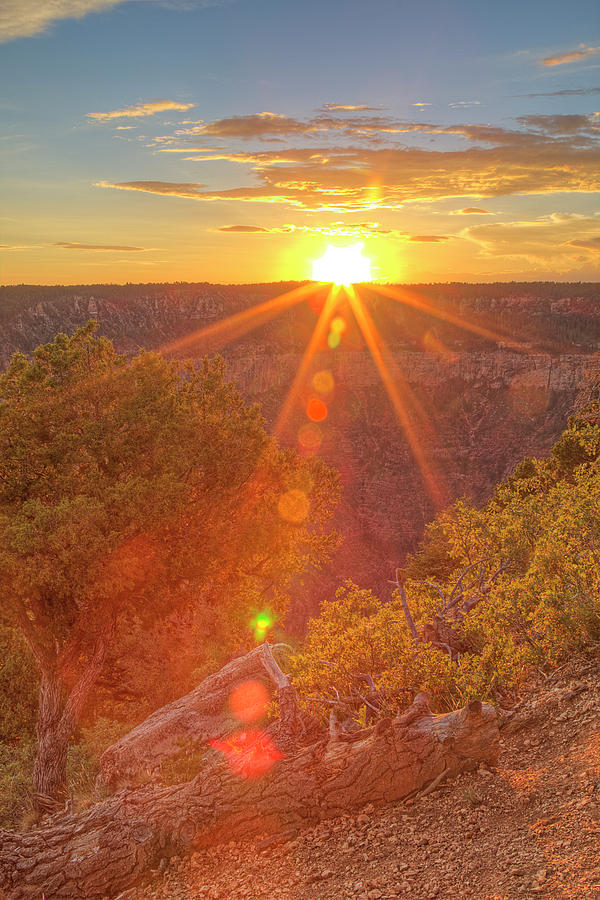 Grand Canyon Summer Sunset Photograph by Joan Escala-Usarralde
