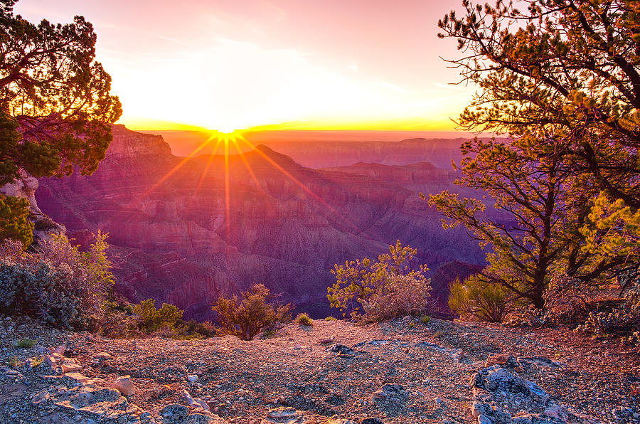 Grand Canyon National Park Photograph - Grand Canyon Sunrise by Scott McGuire