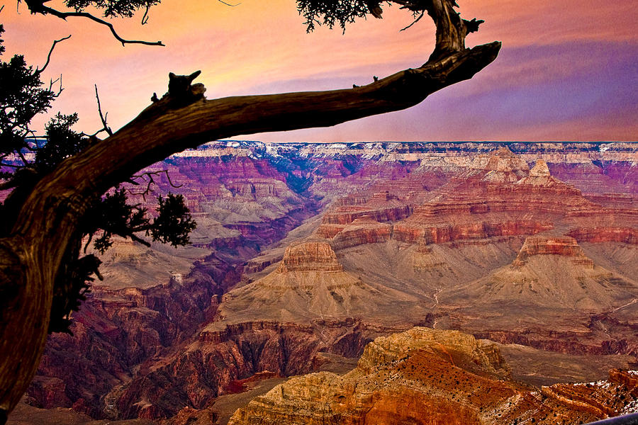 Grand Canyon Sunset Photograph by Ches Black