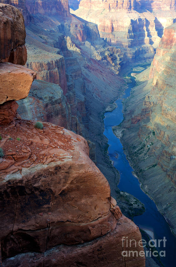 Grand Canyon Toroweap Photograph by Bob Christopher