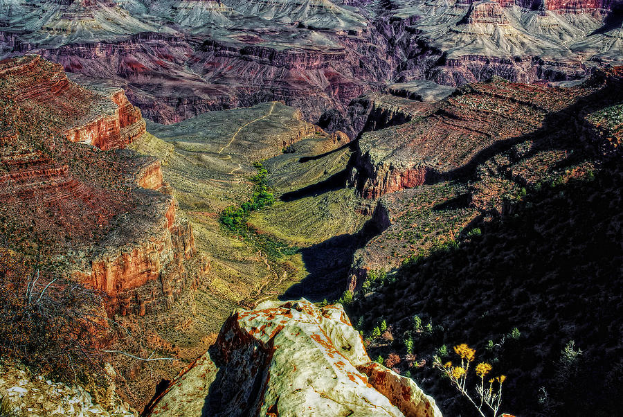 Grand Canyon Trail Photograph by Stephen Campbell