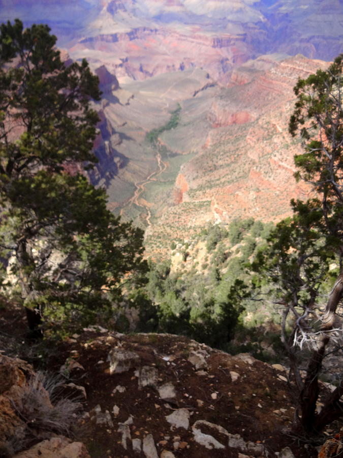 Grand Canyon Trails Photograph by Susan Lafleur