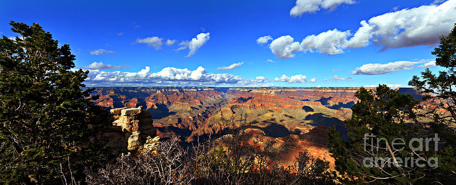 Grand Canyon USA Photograph by Eric Liller