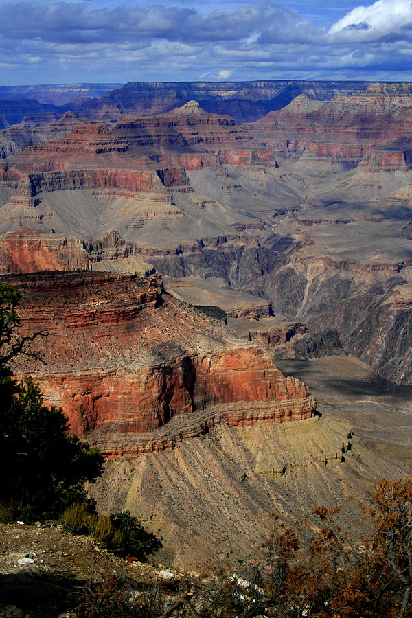 Grand Canyon Vastness Photograph by Christopher J Kirby