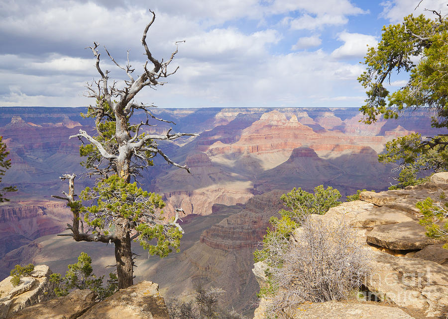 Grand Canyon View Photograph by Chris Dutton