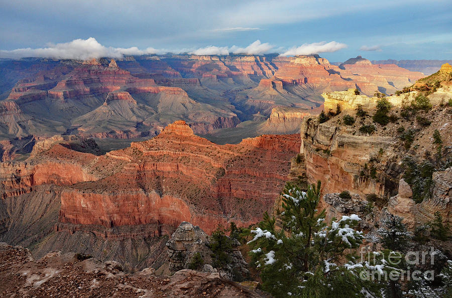 Grand Canyon View Photograph by Debby Pueschel