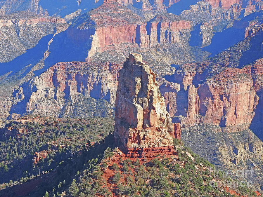 Grand Canyon View Photograph by Eunice Warfel