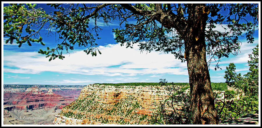 Grand Canyon View from South Rim Overlook Photograph by A Macarthur Gurmankin