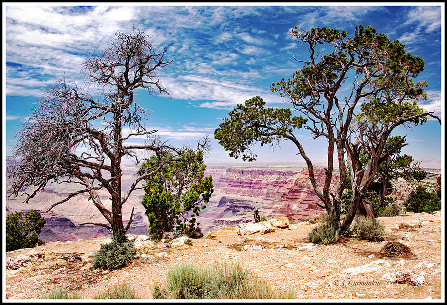 Grand Canyon View fron the South Rim, Arizona Photograph by A Macarthur Gurmankin