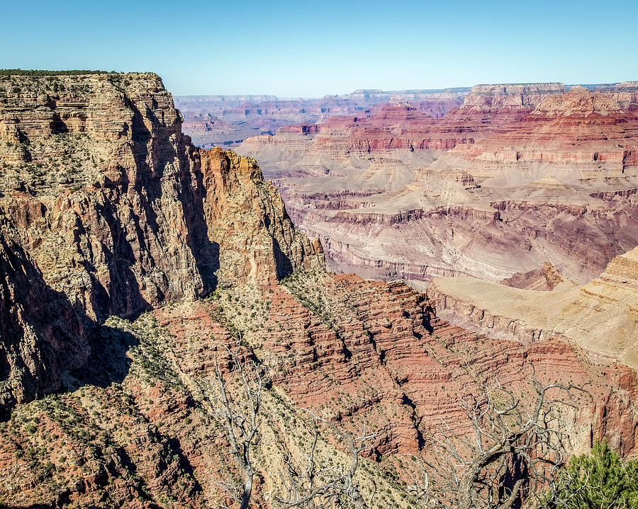 Grand Canyon View Photograph by Joe Myeress
