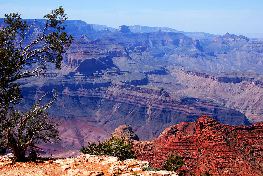 Grand Canyon View Photograph by Susanne Van Hulst