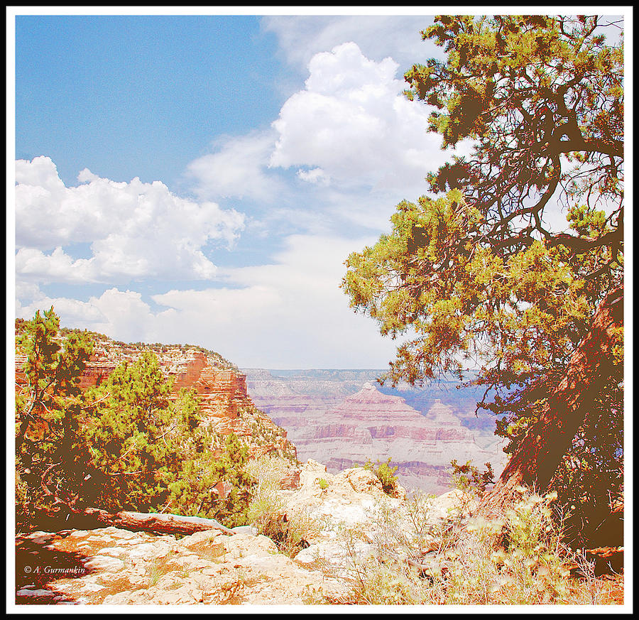 Grand Canyon View with Pine Tree Photograph by A Macarthur Gurmankin