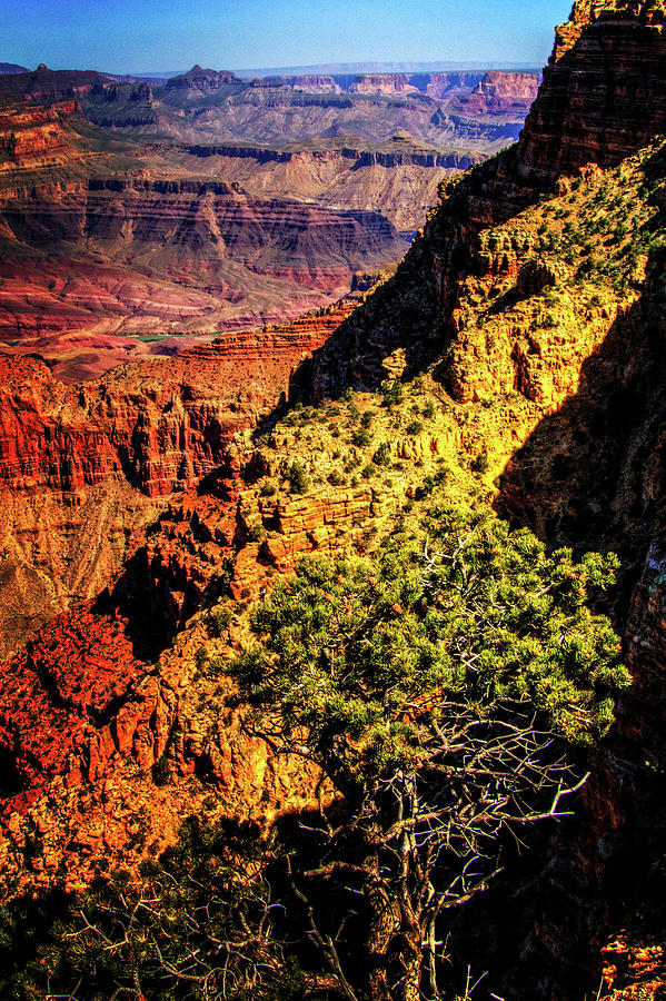 Grand Canyon Views No. 11 Photograph by Roger Passman