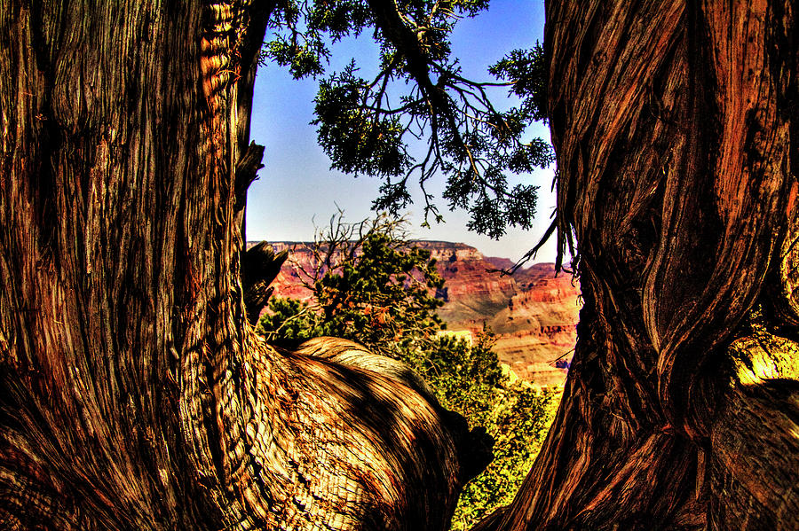 Grand Canyon Views No. 14 Photograph by Roger Passman