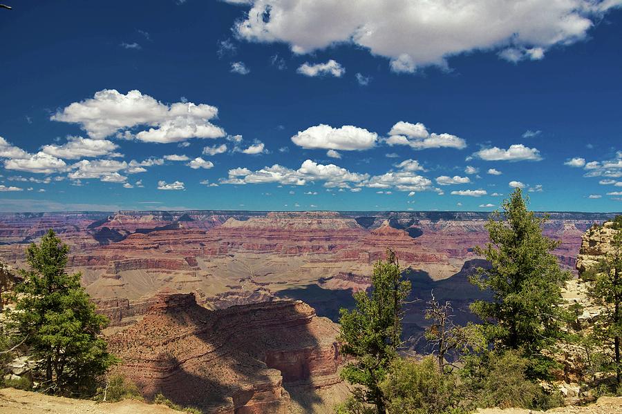 Grand Canyon Vista 1 Photograph by Marisa Geraghty Photography