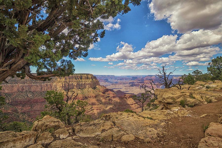 Grand Canyon Vista 11 Photograph by Marisa Geraghty Photography